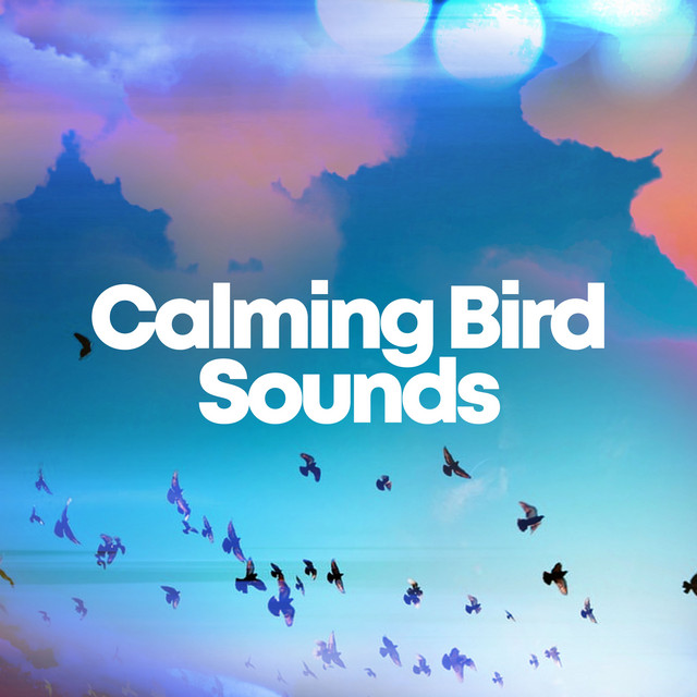 Calming Bird Sounds ! ! ! ! - Album by Calm Bird Sounds | Spotify