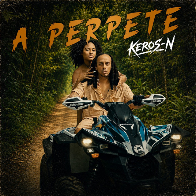 Cover du titre A perpète