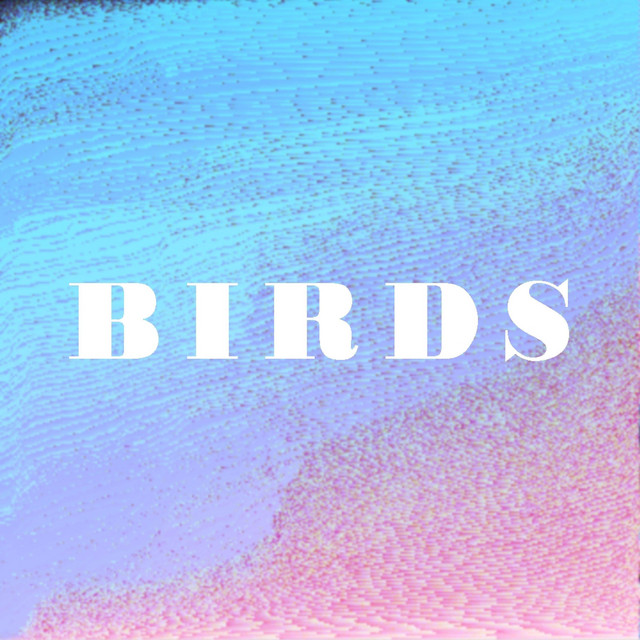 B I R D S cover art