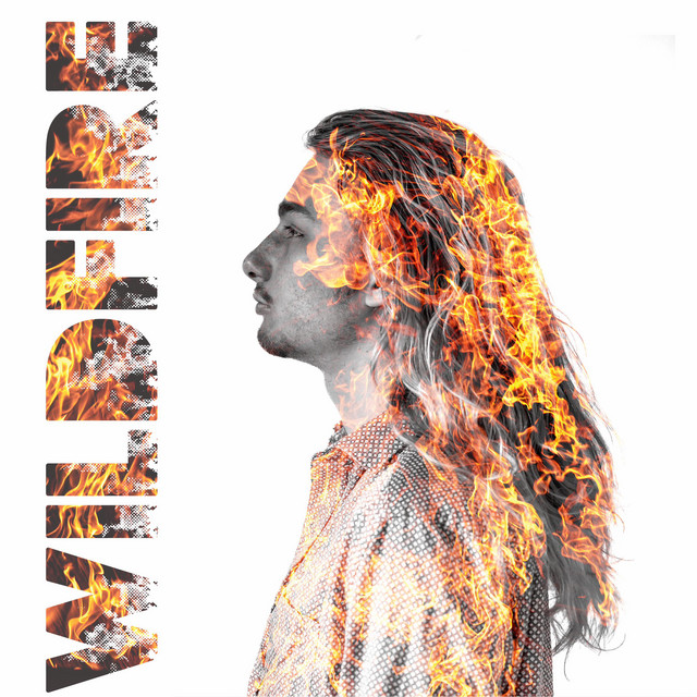 Wildfire cover art