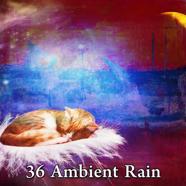 36 Ambient Rain cover art