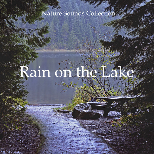 Nature Sounds Collection Rain on the Lake cover art