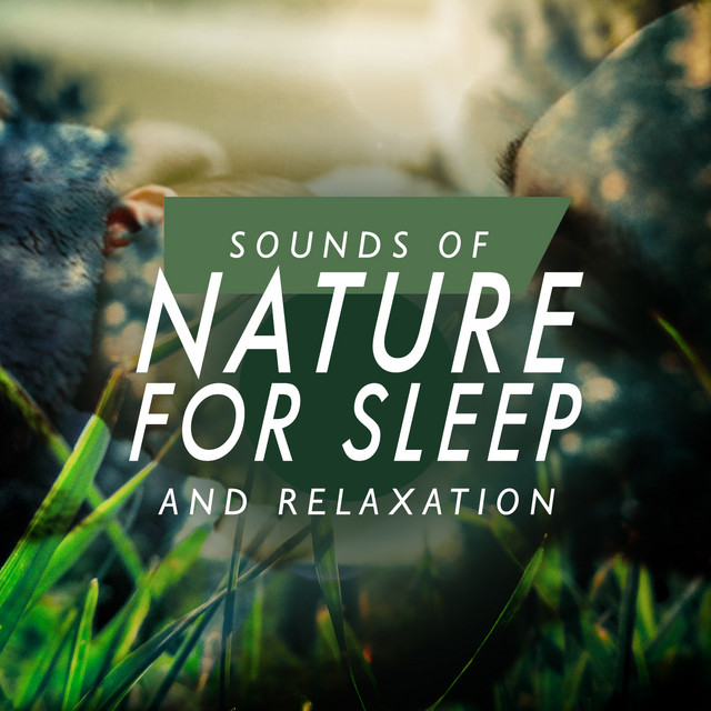Sounds of Nature for Sleep and Relaxation - Album by Sounds of Nature ...