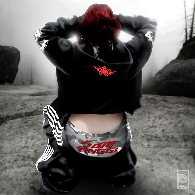 SDM TINGGI cover art