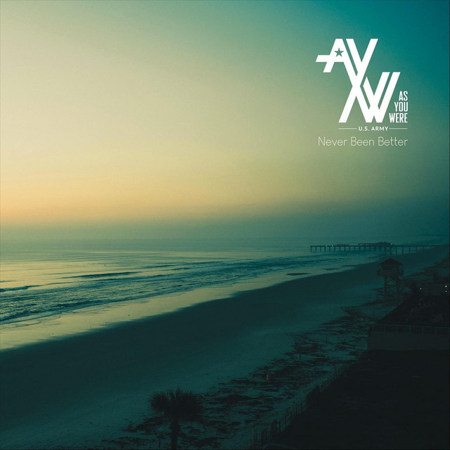Never Been Better cover