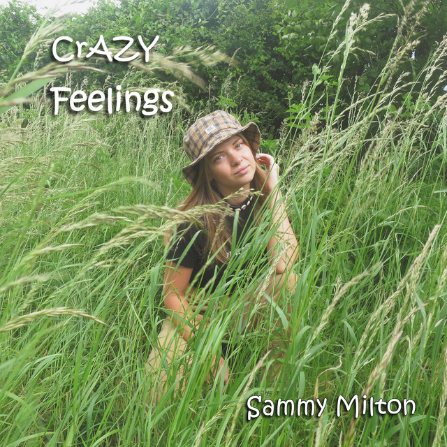 Crazy Feelings cover