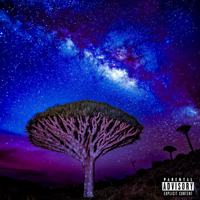 Socotra