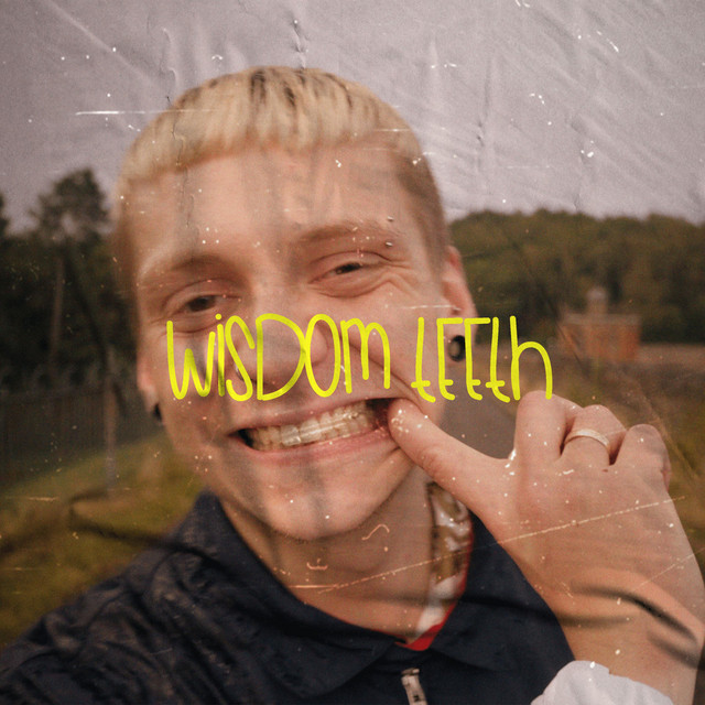 Wisdom Teeth cover art