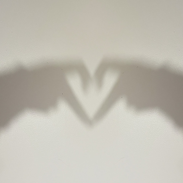 Tired of House Love Songs cover art