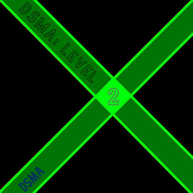 DSMA: Level 2 cover art