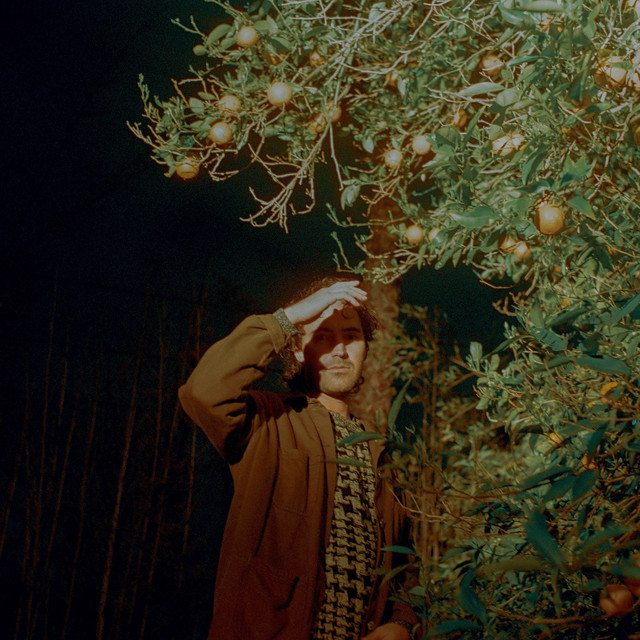 Underneath the Orange Tree cover art
