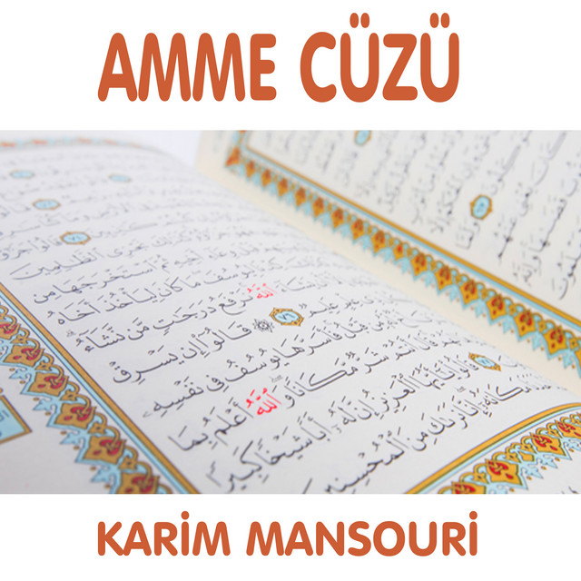 Amme Cüzü cover art