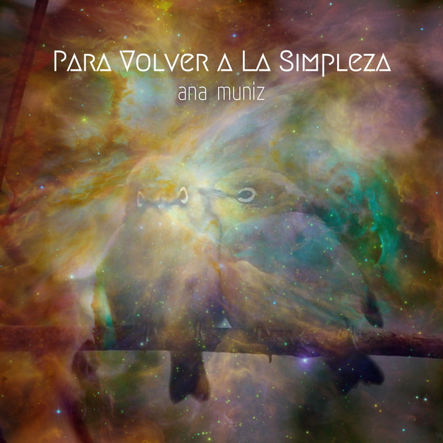 Para Volver a la Simpleza cover art