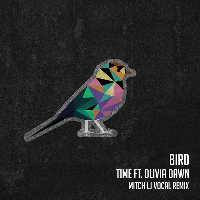 Bird - Mitch LJ Remix