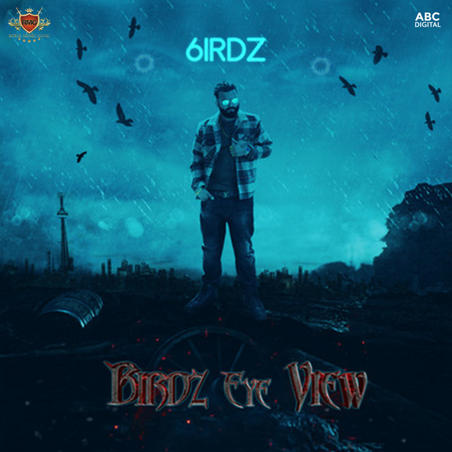 Birdz Eye View cover art