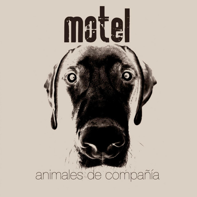 Animales de compañía cover