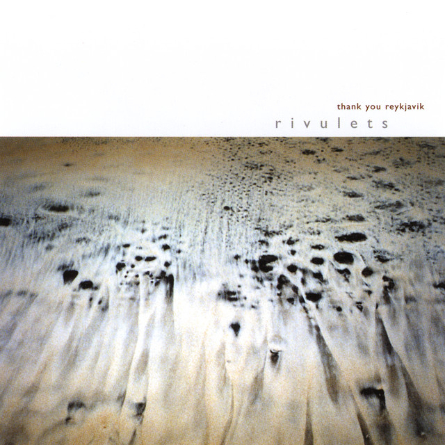Thank You Reykjavik cover art