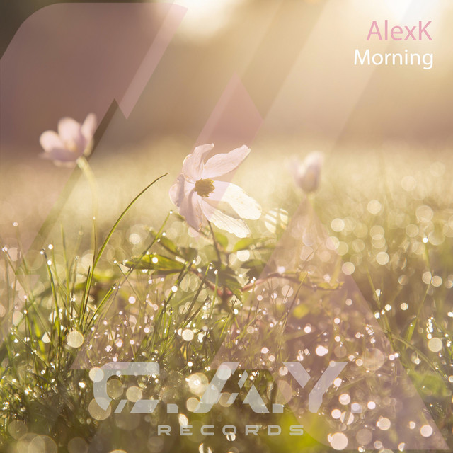 Обкладинка: Morning - original mix — AlexK