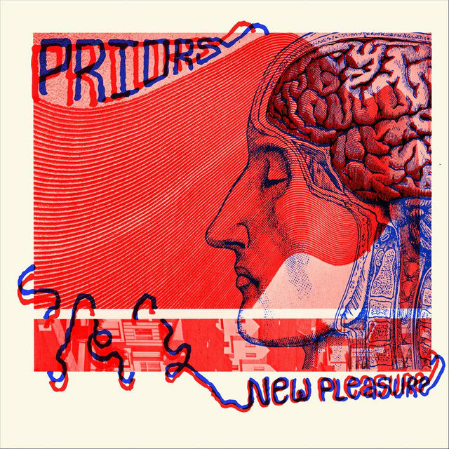 New Pleasure cover art