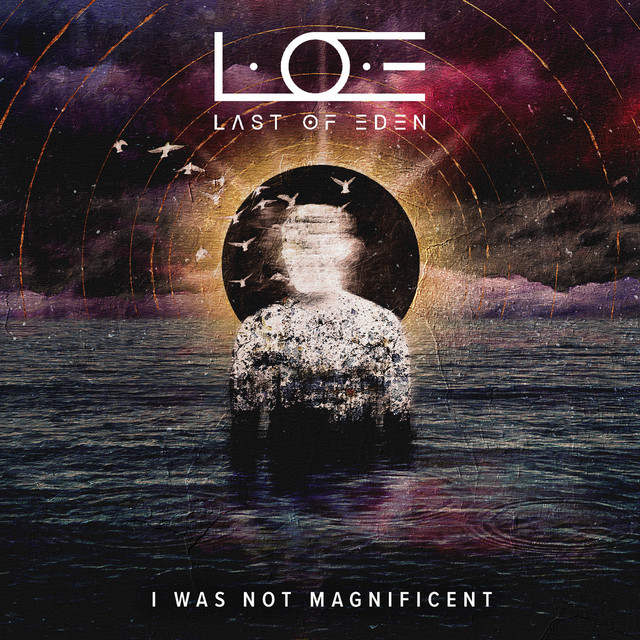 I Was Not Magnificent (single)