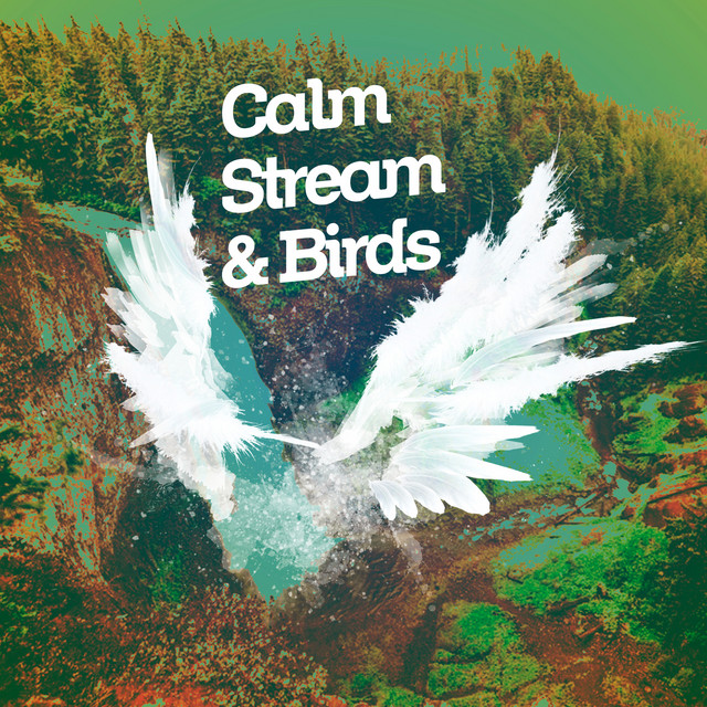 Calm Stream & Birds - Album by Nature Sounds Artists | Spotify