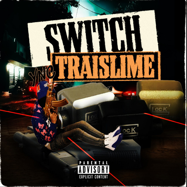Switch cover art
