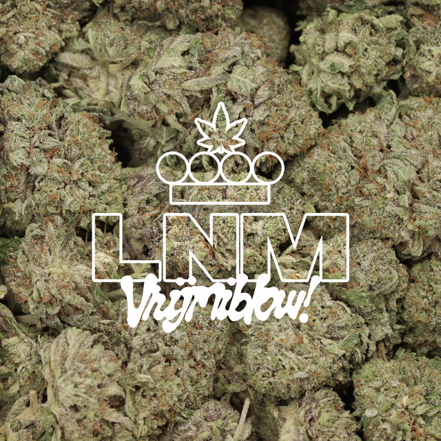 VRIJMIBLOW cover art