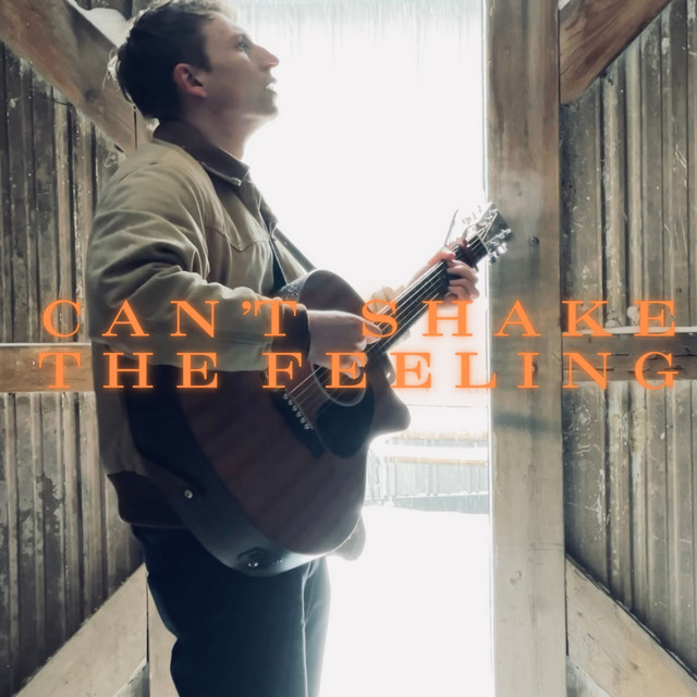 Can't Shake The Feeling cover