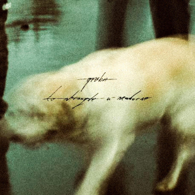 to strangle a seahorse cover art