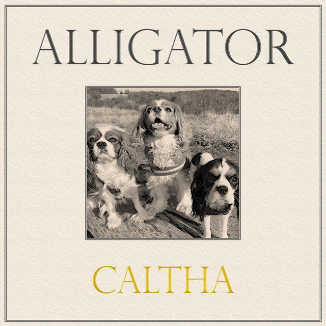 Alligator cover art