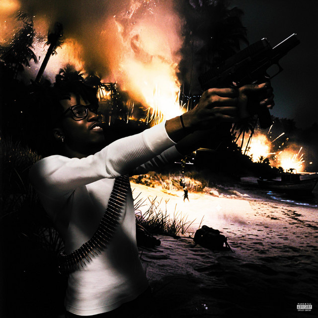 ChuckNorris cover