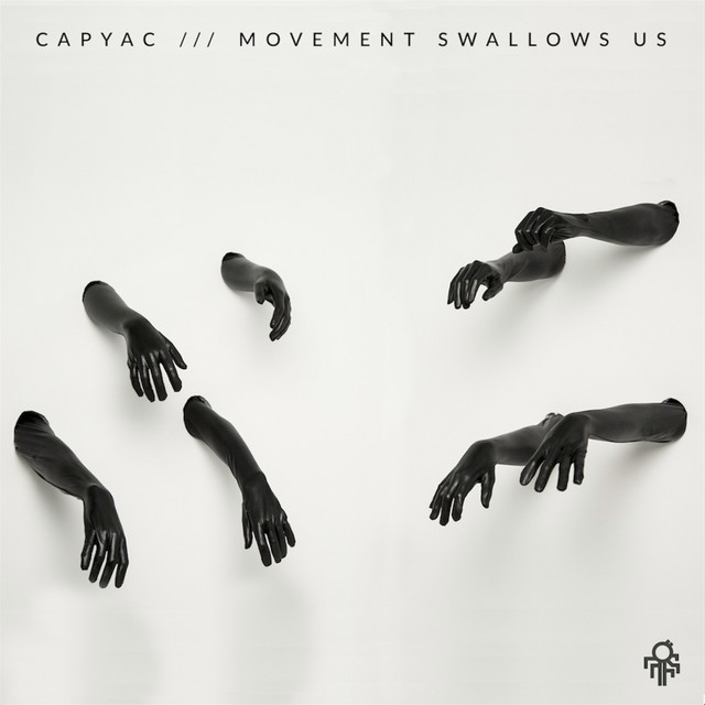 Movement Swallows Us cover art