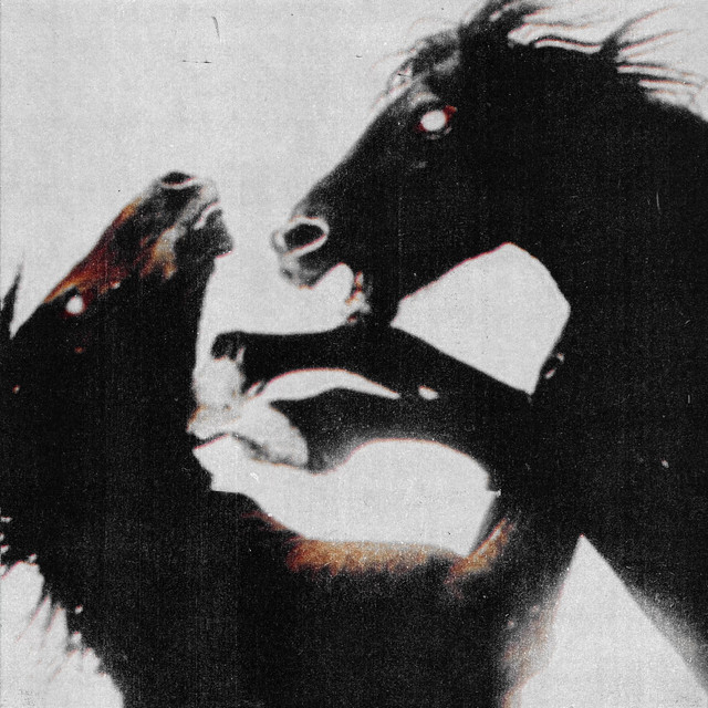 Give Me A Show cover art