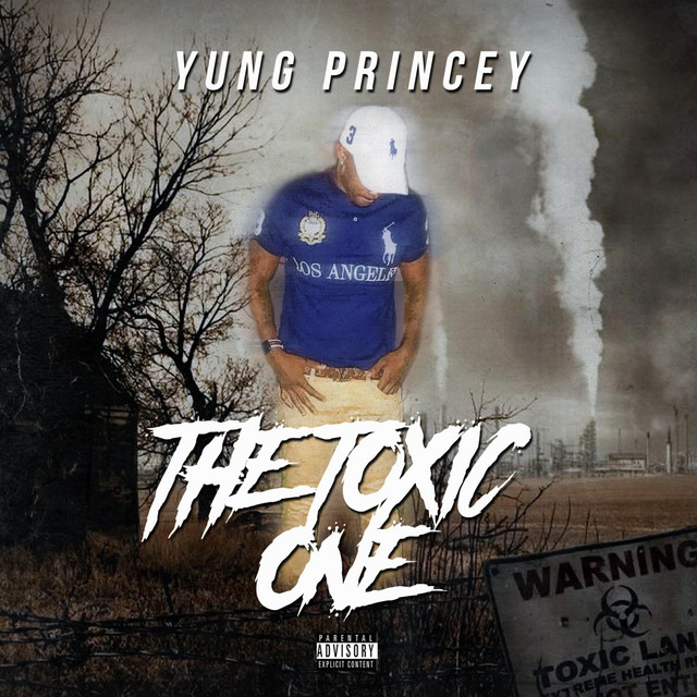 The Toxic One cover art