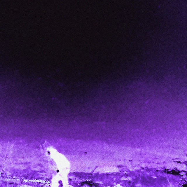 THESIS (Deluxe Edition) cover art