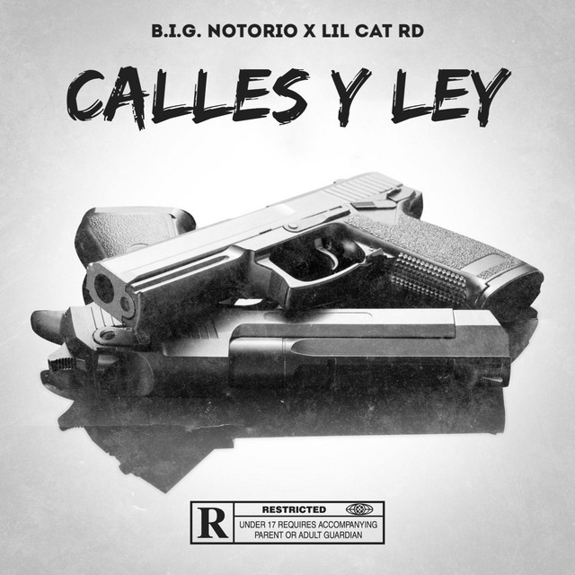 CALLE Y LEY