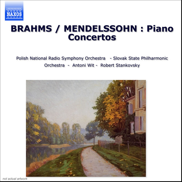 Piano Concerto No. 2 in D Minor, Op. 40, MWV O 11: II. Adagio - Molto sostenuto