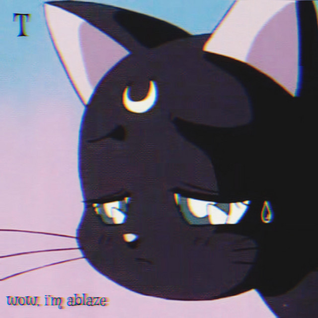 WOW, I'M ABLAZE cover art