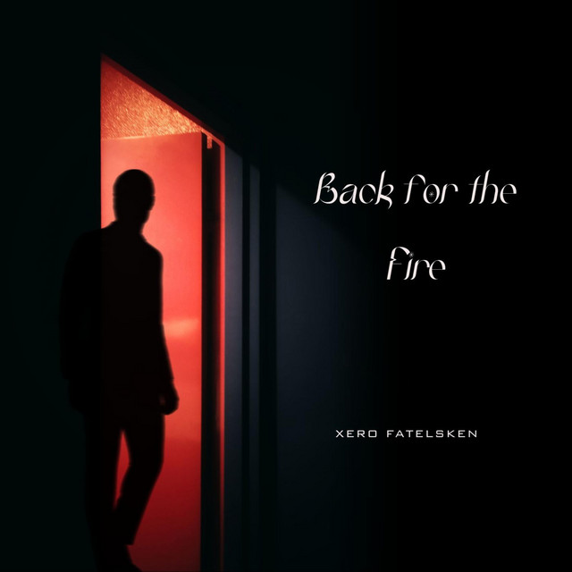 Back for the Fire cover