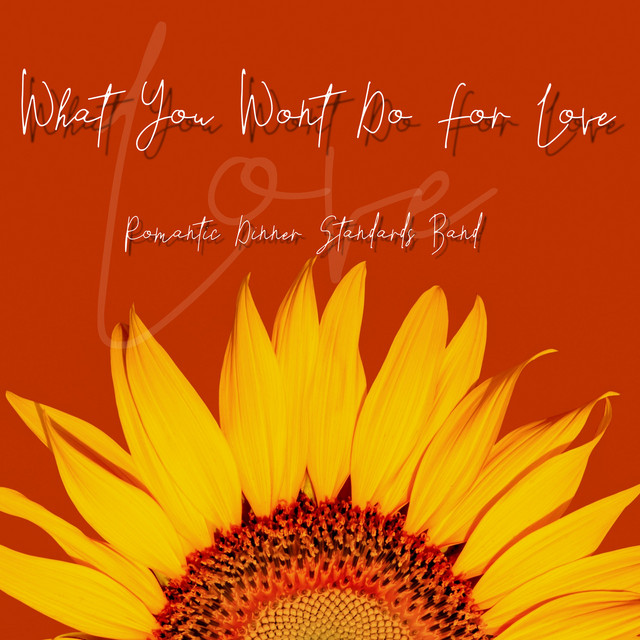 What You Won't Do for Love cover art