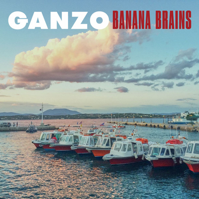 Banana Brains cover