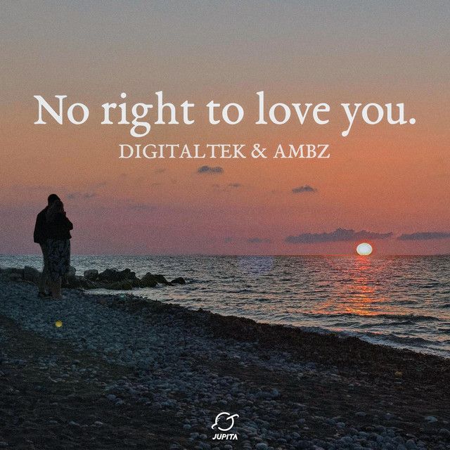 Обкладинка: No Right To Love You — DigitalTek