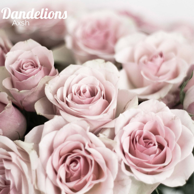 Dandelions cover art