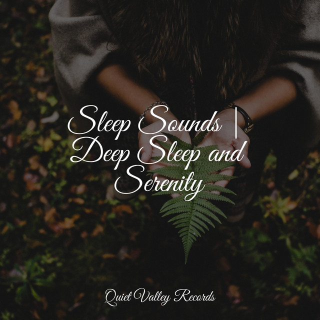 Sleep Sounds | Deep Sleep and Serenity cover art