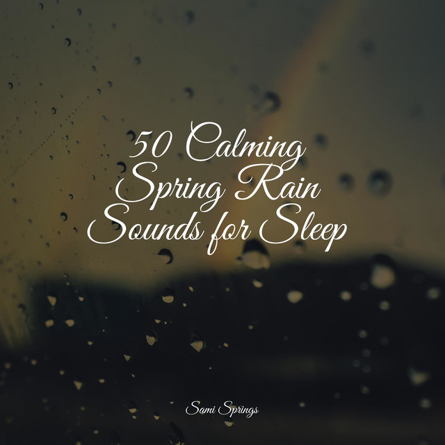 50 Calming Spring Rain Sounds for Sleep - Album by Meditation Music ...