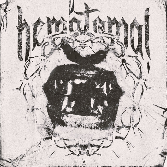 Cover art: ГЕМАТОМА! — SDU