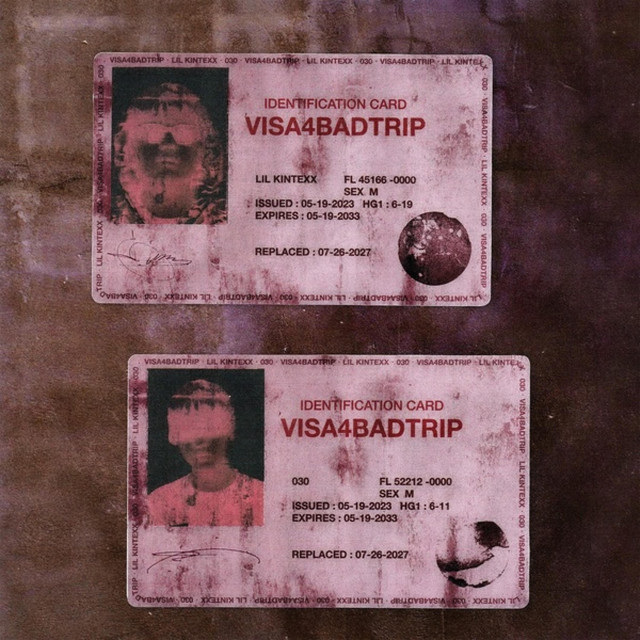 visa4badtrip cover art