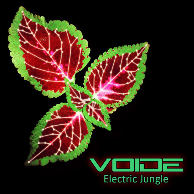 Voide Photo