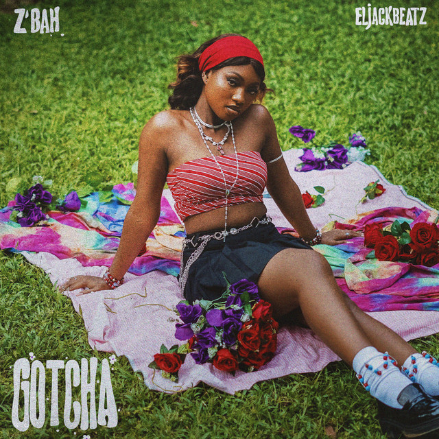 Gotcha cover art