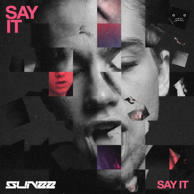 Say It cover